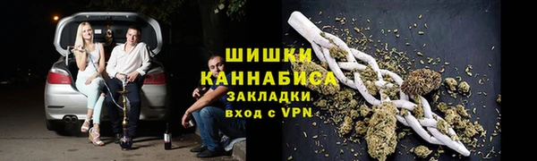 шишки Карпинск