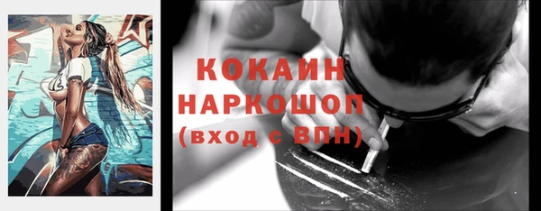 шишки Карпинск