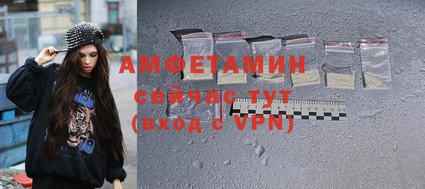 шишки Карпинск