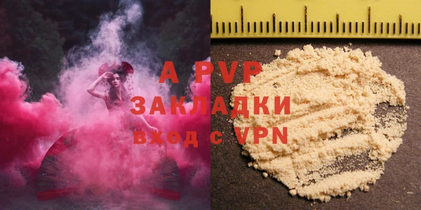 шишки Карпинск