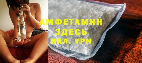 шишки Карпинск