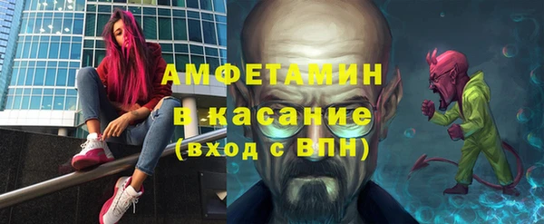 шишки Карпинск