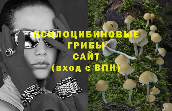 марки lsd Касимов