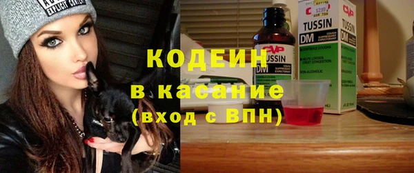шишки Карпинск