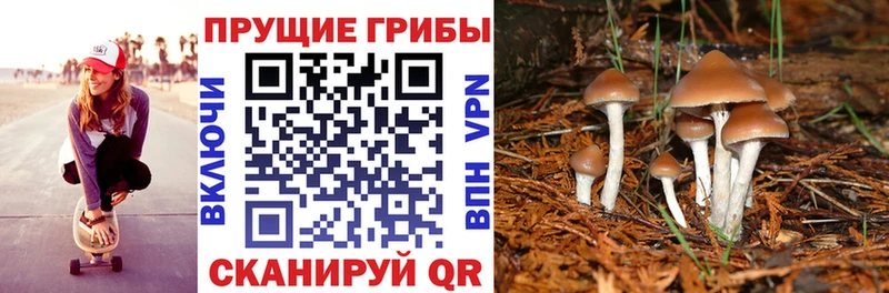 Галлюциногенные грибы MAGIC MUSHROOMS  Купить  Туран 